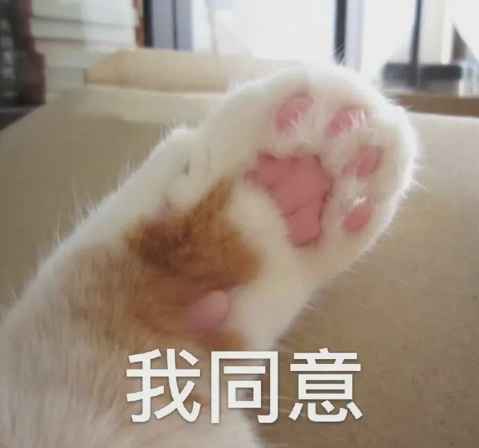 OMG…这两个女人在台上鲨疯了!让你们跳舞,没让你们惹火?休闲区蓝鸢梦想 - Www.slyday.coM OMG…这两个女人在台上鲨疯了!让你们跳舞,没让你们惹火?休闲区蓝鸢梦想 - Www.slyday.coM