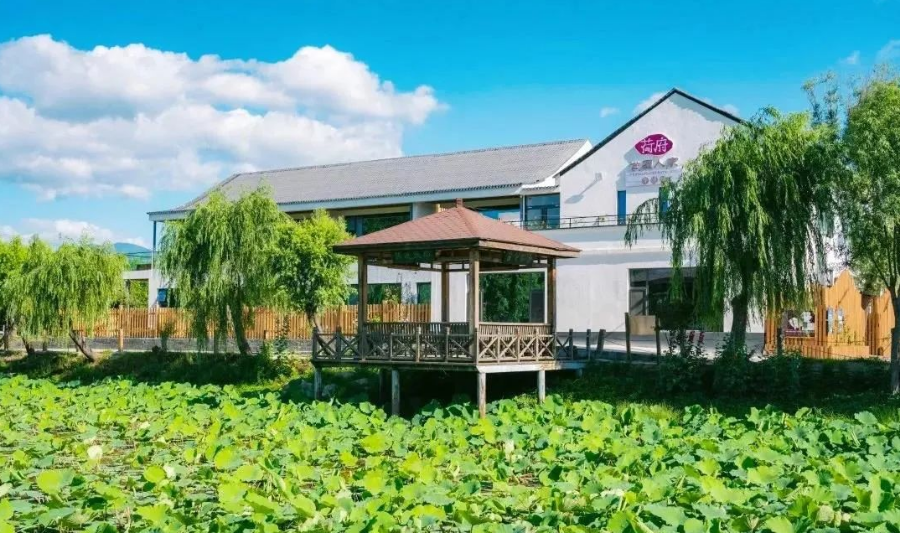 草莓红了!北京“草莓地图”采摘攻略大全来了!休闲区蓝鸢梦想 - Www.slyday.coM 草莓红了!北京“草莓地图”采摘攻略大全来了!休闲区蓝鸢梦想 - Www.slyday.coM