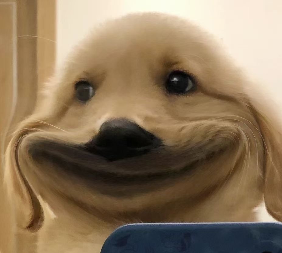 荡秋千被甩飞？陈意涵做引体向上，《良言写意》把观众当傻子？