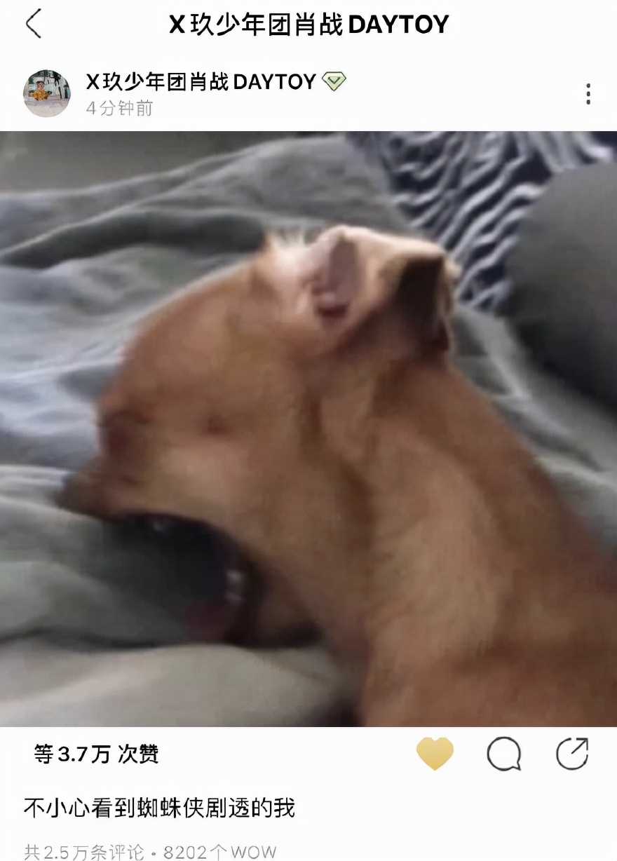 肖战称“不小心看到《蜘蛛侠3》的剧透”，该片在<a href=