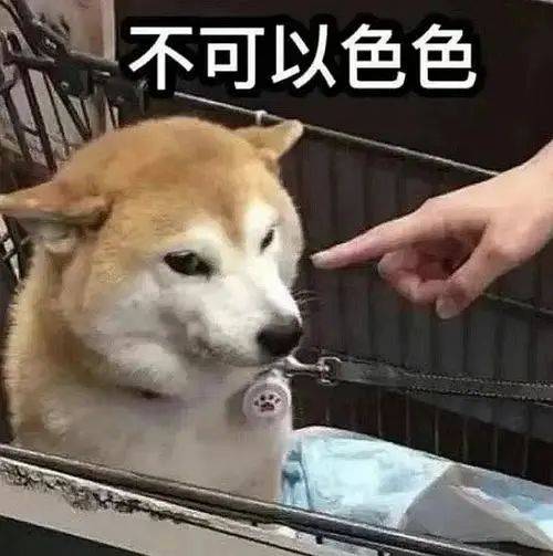 笑不活21年度表情包你最喜欢哪一个
