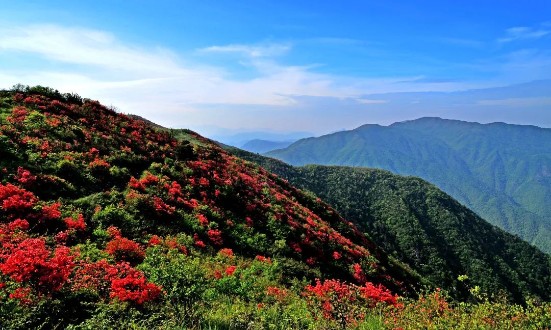 名单来了!浙江新增50家生态文化基地,你去过几处?休闲区蓝鸢梦想 - Www.slyday.coM 名单来了!浙江新增50家生态文化基地,你去过几处?休闲区蓝鸢梦想 - Www.slyday.coM