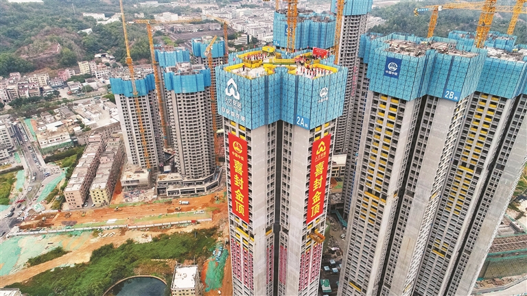 坪山区人才安居盘龙苑首栋塔楼封顶|坪山|盘龙苑|塔楼_新浪新闻