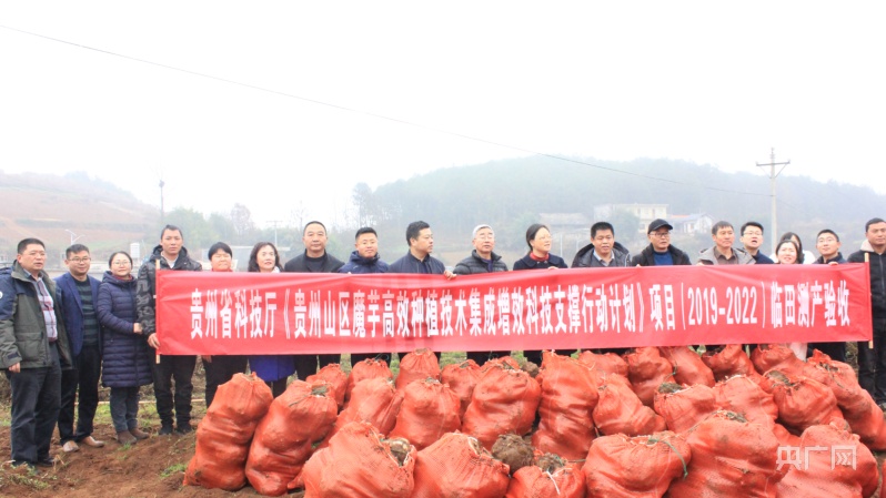 贵州威宁:以科技为支撑 推动魔芋产业高质量发展休闲区蓝鸢梦想 - Www.slyday.coM 贵州威宁:以科技为支撑 推动魔芋产业高质量发展休闲区蓝鸢梦想 - Www.slyday.coM