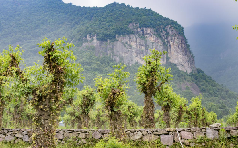 名单来了!浙江新增50家生态文化基地,你去过几处?休闲区蓝鸢梦想 - Www.slyday.coM 名单来了!浙江新增50家生态文化基地,你去过几处?休闲区蓝鸢梦想 - Www.slyday.coM