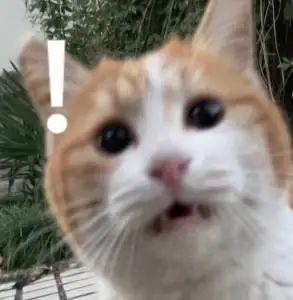 新冠疫情保险热卖,保点啥?张文宏发声:这将是"最后一个寒冷的冬季"!休闲区蓝鸢梦想 - Www.slyday.coM 新冠疫情保险热卖,保点啥?张文宏发声:这将是"最后一个寒冷的冬季"!休闲区蓝鸢梦想 - Www.slyday.coM