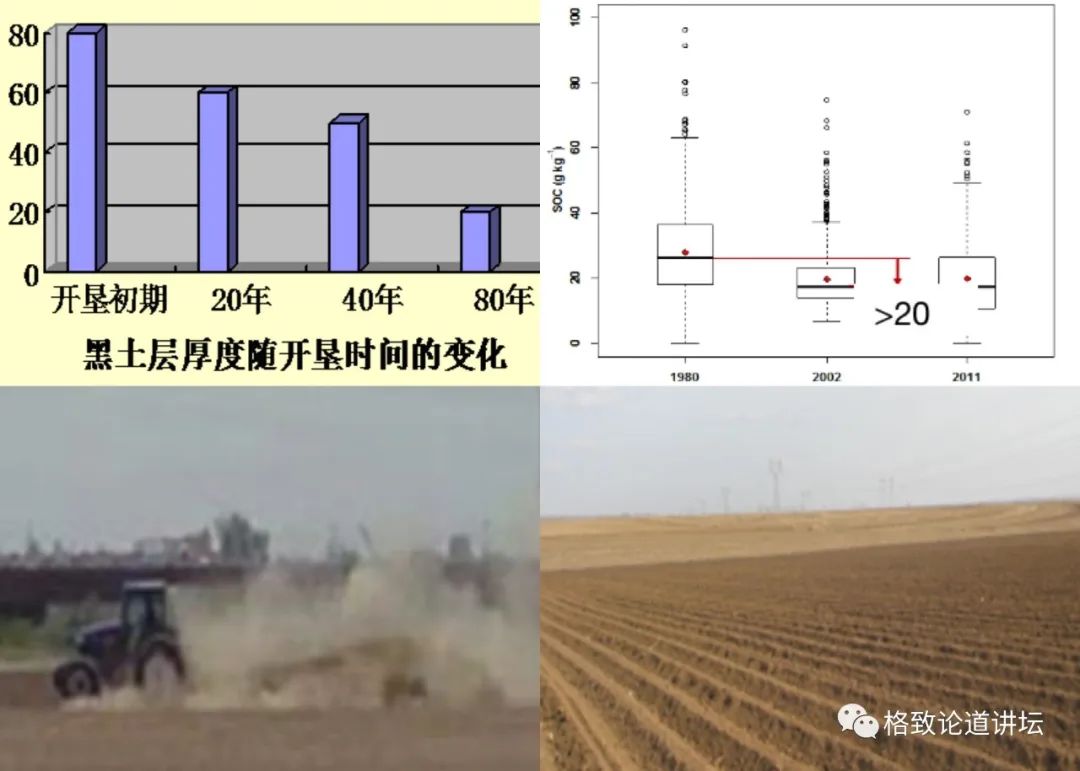 ▲ 黑土层流失——有机质含量下降——风蚀、土壤沙化——地表裸露无保护