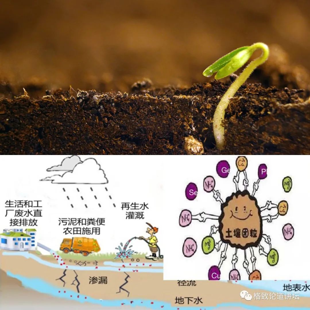 ▲ 土壤是绿色植物生产工场，是自然的消解器、净化器