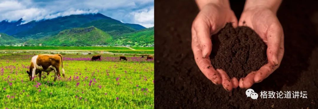 ▲ 土壤是指陆地表面的一层疏松物质，由各种颗粒状矿物质、有机物质、微生物、动物、水分、空气等组成，能生长植物。