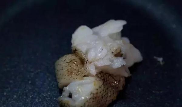 用比目鱼冒充鳕鱼,“上海第一网红”日料火锅自助餐被罚50万!消保委将跟进介入休闲区蓝鸢梦想 - Www.slyday.coM 用比目鱼冒充鳕鱼,“上海第一网红”日料火锅自助餐被罚50万!消保委将跟进介入休闲区蓝鸢梦想 - Www.slyday.coM