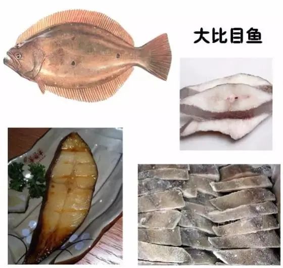 用比目鱼冒充鳕鱼,“上海第一网红”日料火锅自助餐被罚50万!消保委将跟进介入休闲区蓝鸢梦想 - Www.slyday.coM 用比目鱼冒充鳕鱼,“上海第一网红”日料火锅自助餐被罚50万!消保委将跟进介入休闲区蓝鸢梦想 - Www.slyday.coM