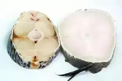 用比目鱼冒充鳕鱼,“上海第一网红”日料火锅自助餐被罚50万!消保委将跟进介入休闲区蓝鸢梦想 - Www.slyday.coM 用比目鱼冒充鳕鱼,“上海第一网红”日料火锅自助餐被罚50万!消保委将跟进介入休闲区蓝鸢梦想 - Www.slyday.coM