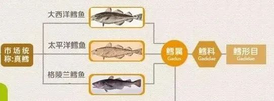 用比目鱼冒充鳕鱼,“上海第一网红”日料火锅自助餐被罚50万!消保委将跟进介入休闲区蓝鸢梦想 - Www.slyday.coM 用比目鱼冒充鳕鱼,“上海第一网红”日料火锅自助餐被罚50万!消保委将跟进介入休闲区蓝鸢梦想 - Www.slyday.coM