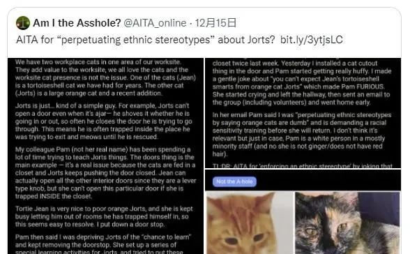 公司橘猫笨到把女同事气哭要离职！甚至闹到了HR！休闲区蓝鸢梦想 - Www.slyday.coM