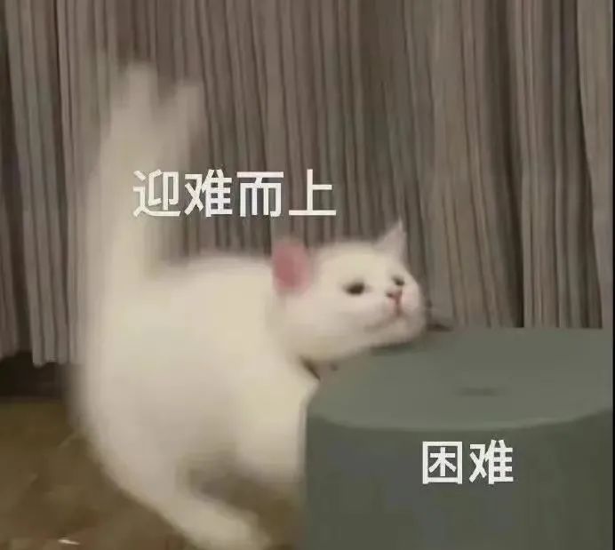 公司橘猫笨到把女同事气哭要离职!甚至闹到了HR!休闲区蓝鸢梦想 - Www.slyday.coM 公司橘猫笨到把女同事气哭要离职!甚至闹到了HR!休闲区蓝鸢梦想 - Www.slyday.coM