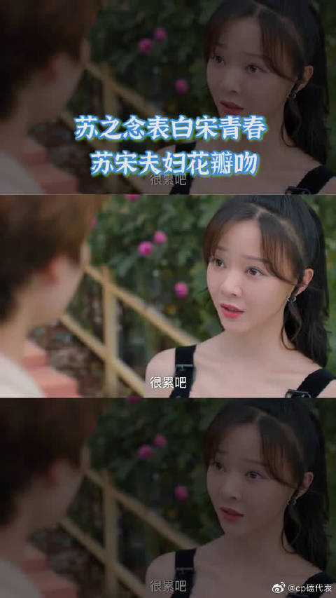 人海之中遇见你苏之念表白宋青春苏宋夫妇花瓣吻