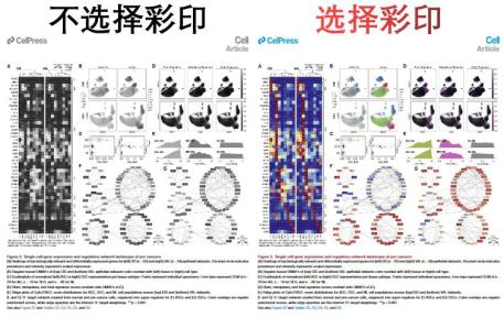 native speaker,guinea pigs 让你的paper更润,更native speaker英文是学术界的主流语言,投稿国外