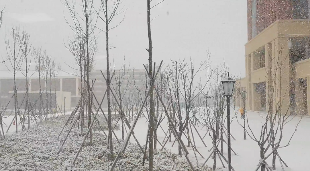 罕见！冷流暴雪突袭山东青岛，江苏上海也有！分析：寒潮角度刁钻