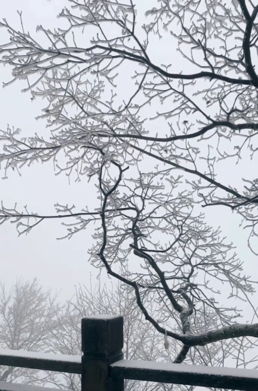 湖南多地下雪了!低温雨雪冰冻灾害Ⅳ级应急响应启动!休闲区蓝鸢梦想 - Www.slyday.coM 湖南多地下雪了!低温雨雪冰冻灾害Ⅳ级应急响应启动!休闲区蓝鸢梦想 - Www.slyday.coM
