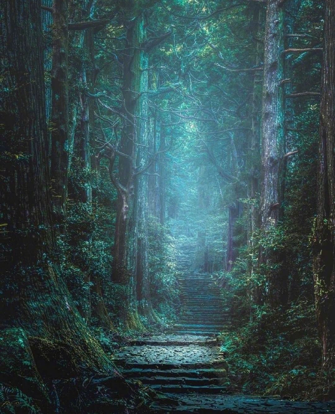 沉默中的守护者