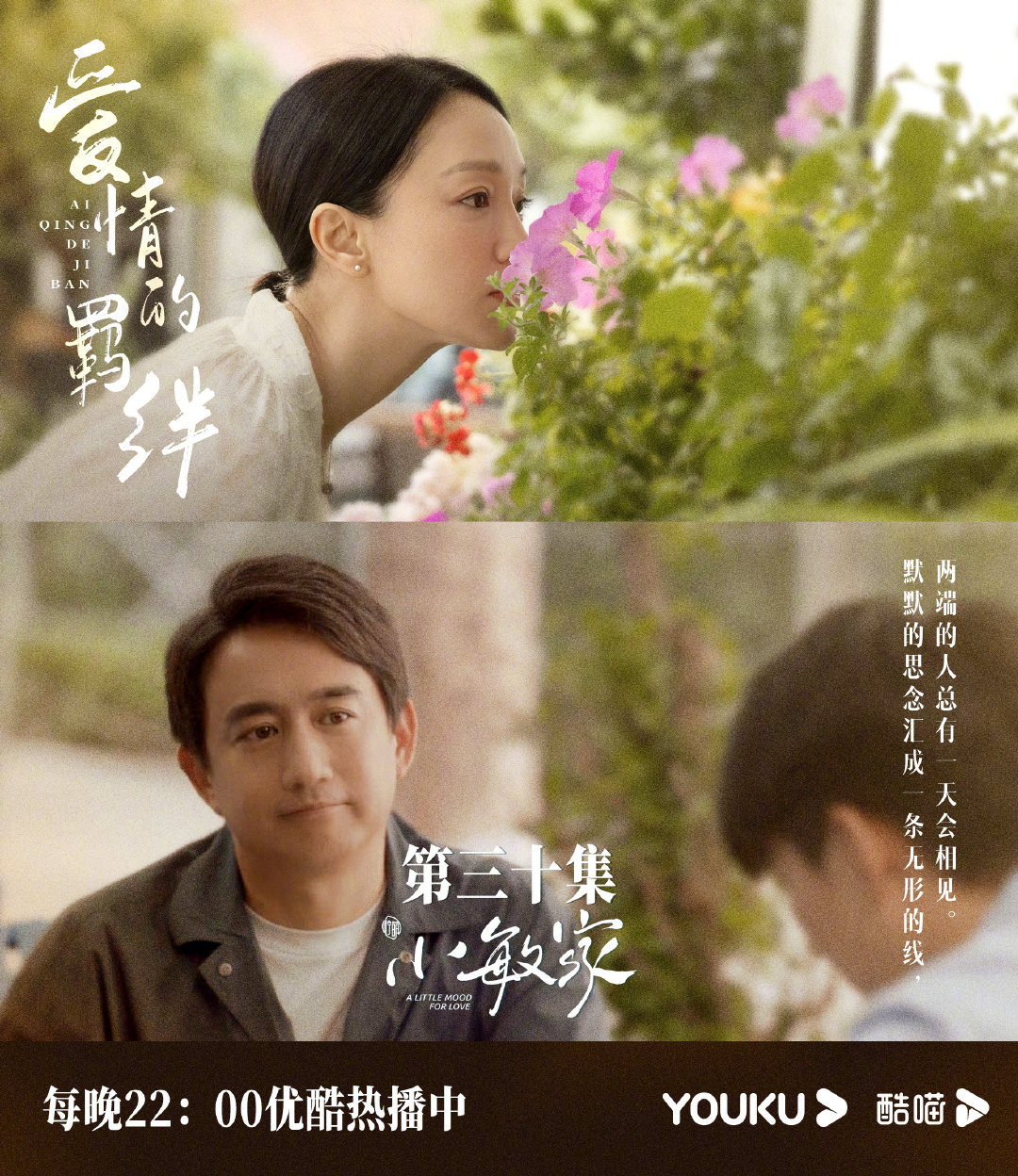 左手亲情右手爱