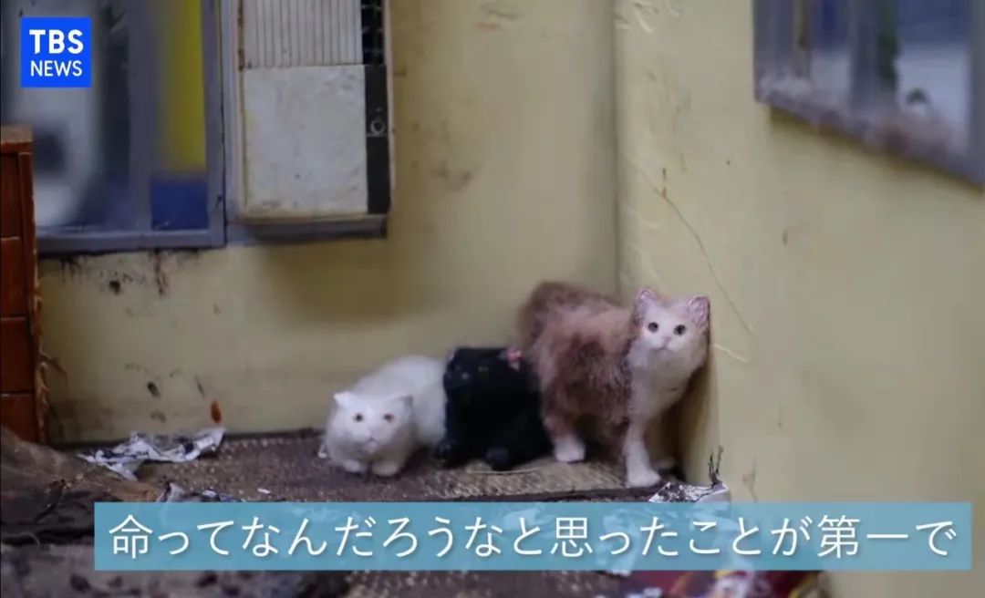 22岁女孩做遗品整理师,被1000只蟑螂围攻,清一间房花1整天休闲区蓝鸢梦想 - Www.slyday.coM 22岁女孩做遗品整理师,被1000只蟑螂围攻,清一间房花1整天休闲区蓝鸢梦想 - Www.slyday.coM