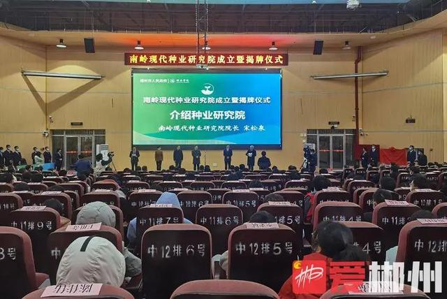 人妻丝袜中文无码AV影音先锋_南岭现代种业研究院挂牌成立 刘志仁讲话 吴巨培出席