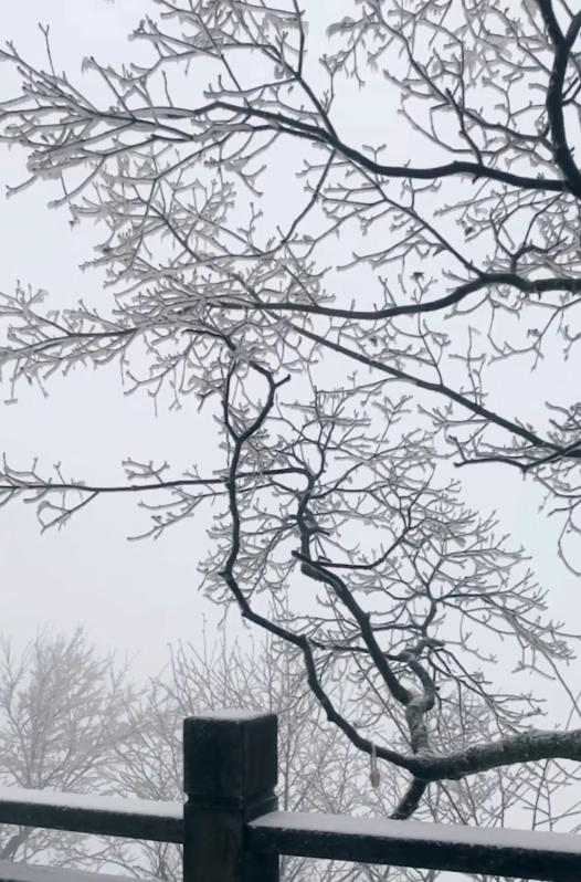 湖南多地下雪啦!郴州多久下?注意!郴州正式启动雨雪冰冻灾害IV级应急响应休闲区蓝鸢梦想 - Www.slyday.coM 湖南多地下雪啦!郴州多久下?注意!郴州正式启动雨雪冰冻灾害IV级应急响应休闲区蓝鸢梦想 - Www.slyday.coM