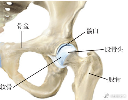 机器人关节模组选哪家 国内十大品牌推荐