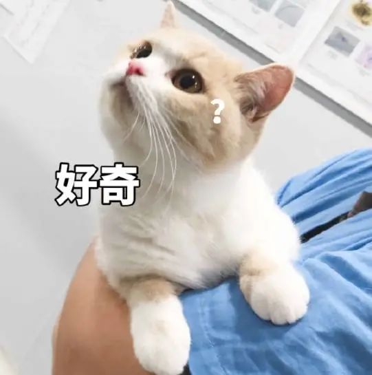 史上最严!腾讯、网易都出手了,事关未成年人玩游戏休闲区蓝鸢梦想 - Www.slyday.coM 史上最严!腾讯、网易都出手了,事关未成年人玩游戏休闲区蓝鸢梦想 - Www.slyday.coM