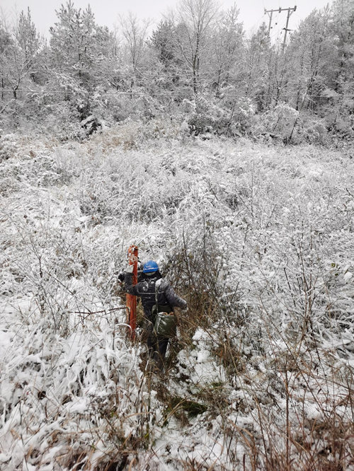 国网重庆电力:多举措应对暴雪寒潮天气休闲区蓝鸢梦想 - Www.slyday.coM 国网重庆电力:多举措应对暴雪寒潮天气休闲区蓝鸢梦想 - Www.slyday.coM