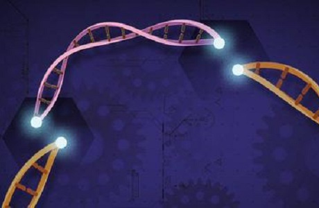 图片来源：美国生物制药网站BioPharmaDIVE