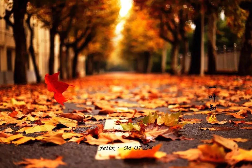 西安封城第2天,我最担心的一幕,还是发生了……休闲区蓝鸢梦想 - Www.slyday.coM 西安封城第2天,我最担心的一幕,还是发生了……休闲区蓝鸢梦想 - Www.slyday.coM