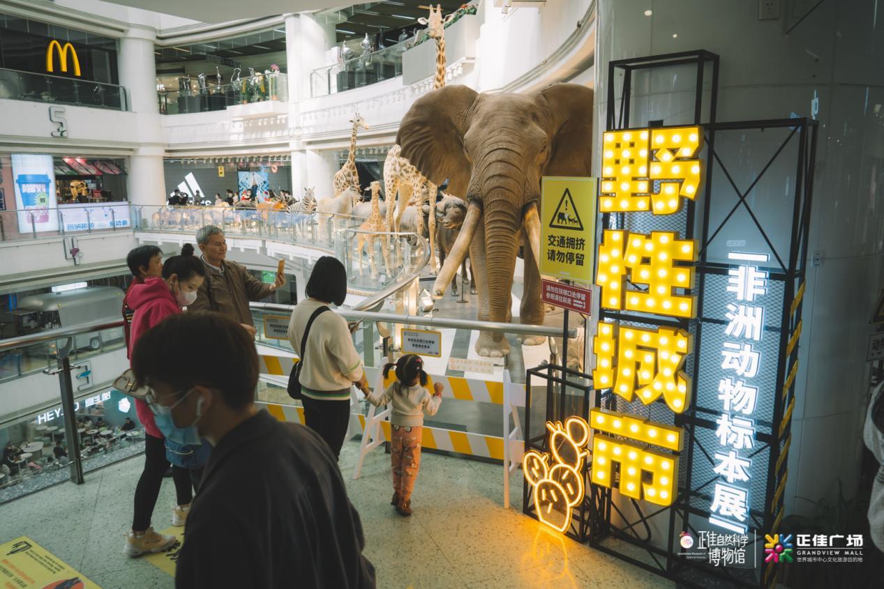 元旦假期去正佳广场偶遇“猛兽” 全新升级“非洲动物标本展”正式亮相休闲区蓝鸢梦想 - Www.slyday.coM 元旦假期去正佳广场偶遇“猛兽” 全新升级“非洲动物标本展”正式亮相休闲区蓝鸢梦想 - Www.slyday.coM