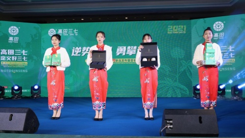 三七粉品牌排行_文山高田三七2021新品发布,逆势突围破困局