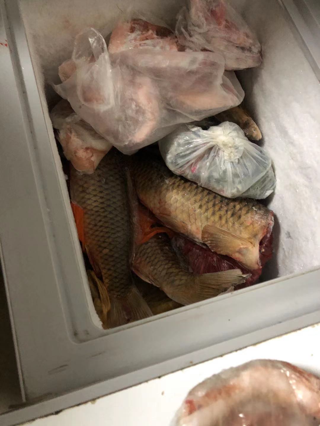 嫌疑人家中搜出的鱼干和冻鱼。