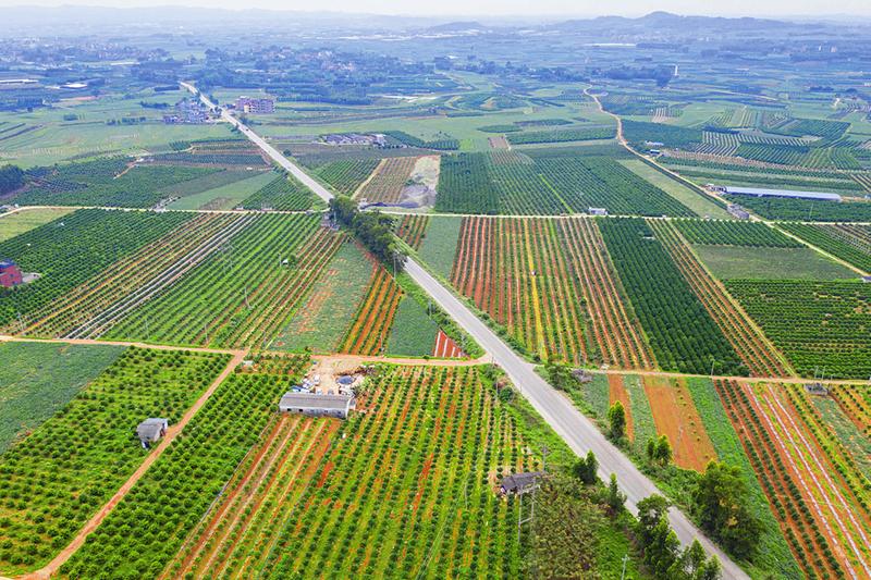 ▲通往西乡塘区双定镇的乡村公路。 本报记者黄维业摄