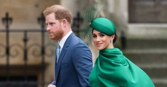 澳洲主持人怒斥梅根伤害了所有在乎她的人:她的名字真的令我作呕