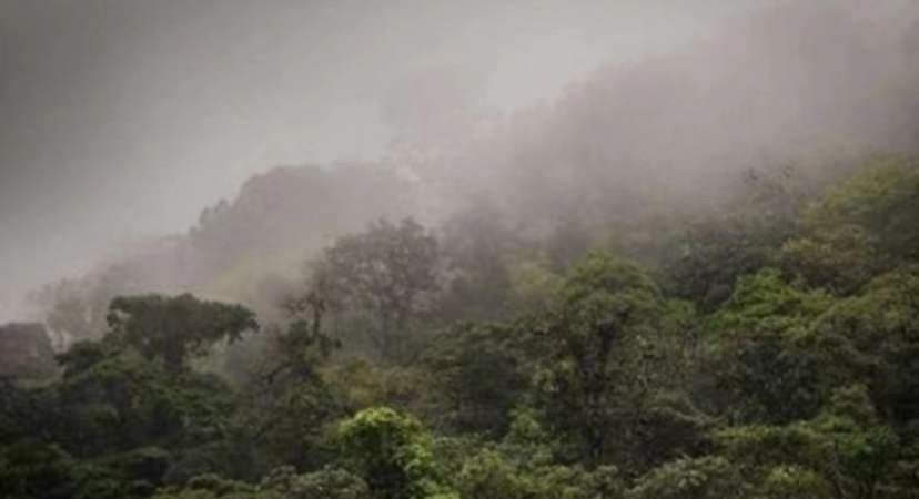 战士黄干宗,被两名越南女兵绑走13年,回国后:我希望把她接回国