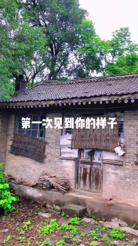 农村小院承载着多少70后80后的美好回忆