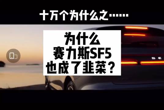 十万个为什么之为什么赛力斯SF5也成了韭菜？