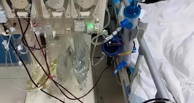 大三女孩以性命报复房东不退押金:这2点父母一定要提早告诉孩子休闲区蓝鸢梦想 - Www.slyday.coM 大三女孩以性命报复房东不退押金:这2点父母一定要提早告诉孩子休闲区蓝鸢梦想 - Www.slyday.coM