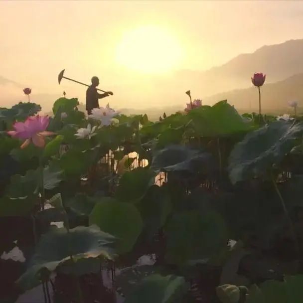 福建4地入选新一批天然氧吧名单!休闲区蓝鸢梦想 - Www.slyday.coM 福建4地入选新一批天然氧吧名单!休闲区蓝鸢梦想 - Www.slyday.coM