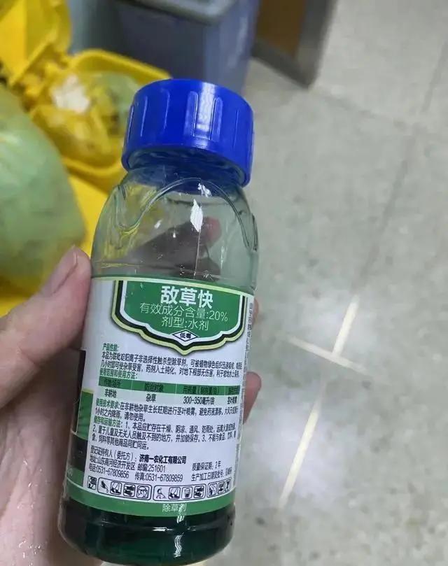 大三女孩以性命报复房东不退押金:这2点父母一定要提早告诉孩子休闲区蓝鸢梦想 - Www.slyday.coM 大三女孩以性命报复房东不退押金:这2点父母一定要提早告诉孩子休闲区蓝鸢梦想 - Www.slyday.coM