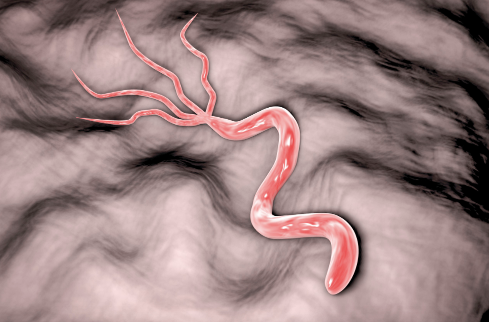 这些致癌物知多少?美新版“致癌物清单”将幽门螺旋杆菌列为“明确致癌”,中国感染率近60%休闲区蓝鸢梦想 - Www.slyday.coM 这些致癌物知多少?美新版“致癌物清单”将幽门螺旋杆菌列为“明确致癌”,中国感染率近60%休闲区蓝鸢梦想 - Www.slyday.coM