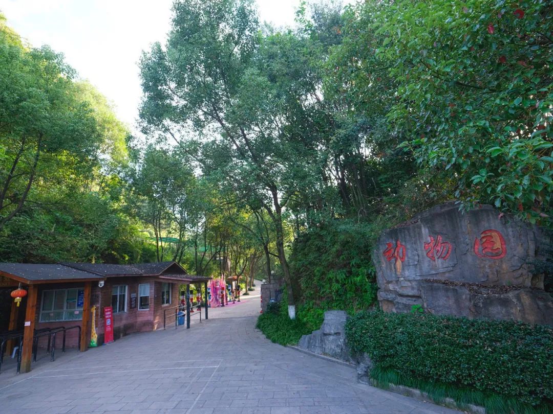 明起,温州动物园对14周岁以下未成年人免费开放休闲区蓝鸢梦想 - Www.slyday.coM 明起,温州动物园对14周岁以下未成年人免费开放休闲区蓝鸢梦想 - Www.slyday.coM