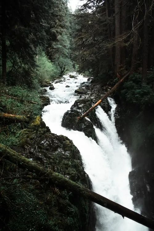 跨年朋友圈文案大赏:最后的展示时刻到了!休闲区蓝鸢梦想 - Www.slyday.coM 跨年朋友圈文案大赏:最后的展示时刻到了!休闲区蓝鸢梦想 - Www.slyday.coM