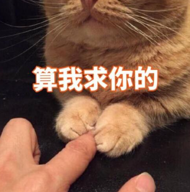 跨年朋友圈文案大赏:最后的展示时刻到了!休闲区蓝鸢梦想 - Www.slyday.coM 跨年朋友圈文案大赏:最后的展示时刻到了!休闲区蓝鸢梦想 - Www.slyday.coM