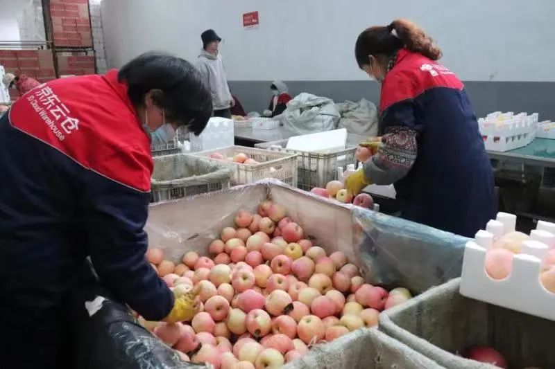 2021,一家民企的“奔富”答卷