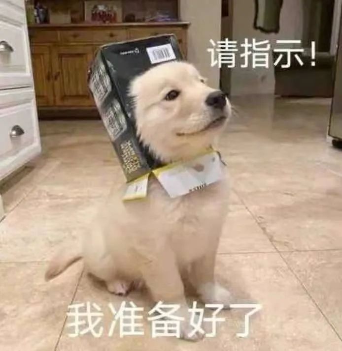 跨年朋友圈文案大赏:最后的展示时刻到了!休闲区蓝鸢梦想 - Www.slyday.coM 跨年朋友圈文案大赏:最后的展示时刻到了!休闲区蓝鸢梦想 - Www.slyday.coM